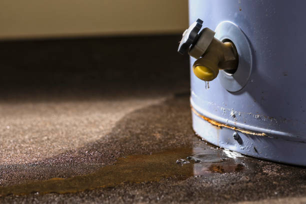 Best Basement water damage restoration  in Middletown, NY