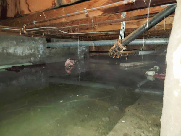 Best Flood restoration services  in Middletown, NY