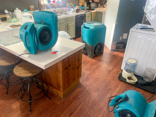 Best Basement water damage restoration  in Middletown, NY