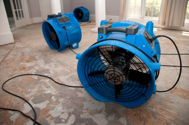 Best Ceiling water damage repair  in Middletown, NY
